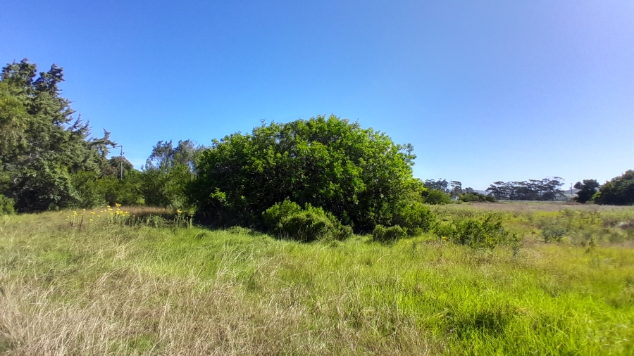0 Bedroom Property for Sale in Wittedrift AH Western Cape